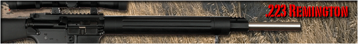 DPMS AR-15 Rifles and Accessories