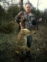 Carroll County coyote.jpg