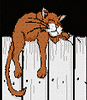 straycat