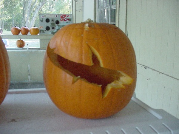 PDMyPumkin.jpg