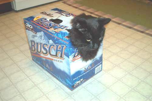 redneck_cat_carrier.jpg
