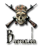 Barracuda Web Design