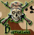 Barracuda Web Design & Images