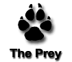 The Prey